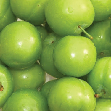 Green Grande Tomatoes